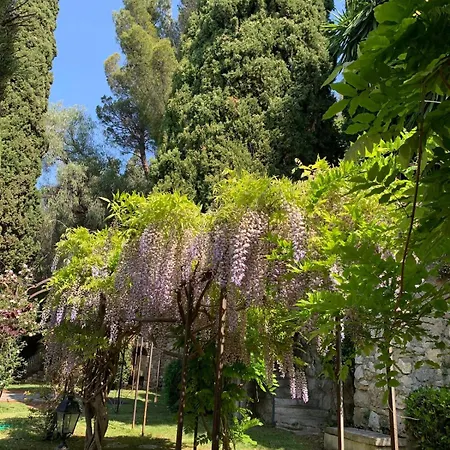 Facing Monaco, Cosy Flat With Parc & Swimming