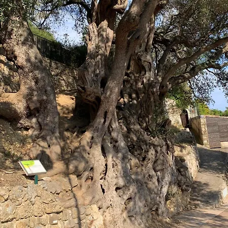 Facing Monaco, Cosy Flat With Parc & Swimming Appartement