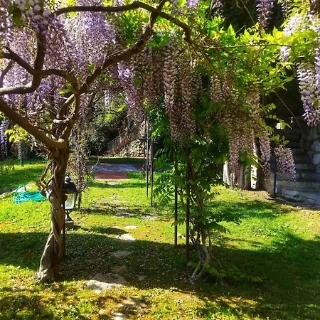 Facing Monaco, Cosy Flat With Parc & Swimming