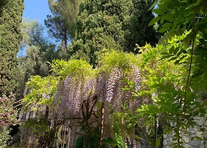 Facing Monaco, Cosy Flat With Parc & Swimming